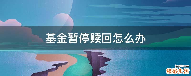 基金暂停赎回怎么办