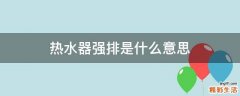热水器强排是什么意思