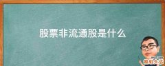 股票非流通股是什么