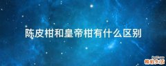 陈皮柑和皇帝柑有什么区别