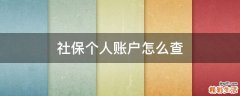社保个人账户怎么查