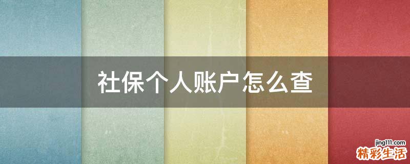 社保个人账户怎么查