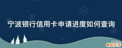宁波银行信用卡申请进度如何查询