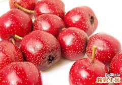 健脾胃食补原来要吃这些 你都知道吗