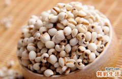 吃什么食物健脾去湿 这四种食物要常吃