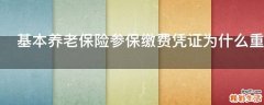 基本养老保险参保缴费凭证为什么重要