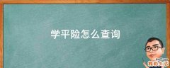 学平险怎么查询