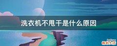 洗衣机不甩干是什么原因
