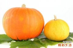 补气血吃什么 补血补气的食物