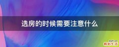 选房的时候需要注意什么