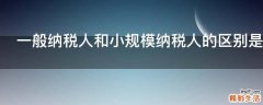 一般纳税人和小规模纳税人的区别是什么