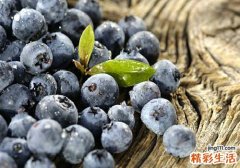 消炎吃什么水果好