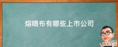 熔喷布有哪些上市公司
