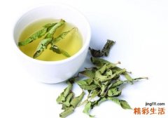 祛痰喝什么茶