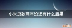 小米贷款两年没还有什么后果