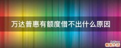 万达普惠有额度借不出什么原因