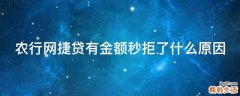 农行网捷贷有金额秒拒了什么原因