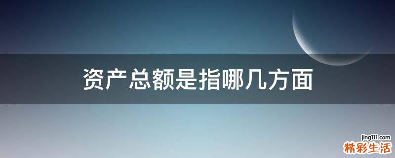 资产总额是指哪几方面