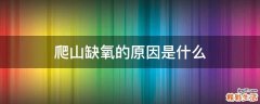 爬山缺氧的原因是什么