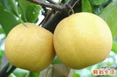 吃什么水果感冒好的快