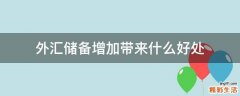 外汇储备增加带来什么好处