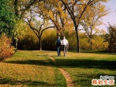 七大运动能有效健脑