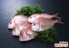 补脑的食物有哪些