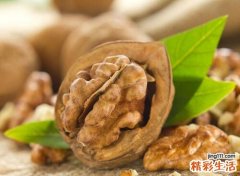 小孩吃什么聪明又营养
