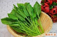 怀孕的时候吃什么孩子聪明