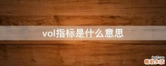 vol指标是什么意思