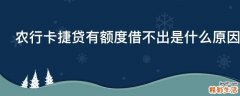 农行卡捷贷有额度借不出是什么原因