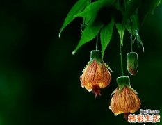保养心脏的方法