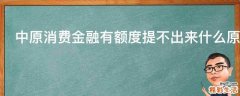 中原消费金融有额度提不出来什么原因