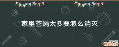 家里苍蝇太多要怎么消灭