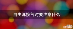 自由泳换气时要注意什么