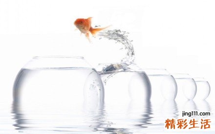 【怎样收缩毛孔】收缩毛孔怎么做