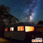 走马胎叶