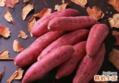 冬天吃什么驱寒补气 多吃这些食物防疾病