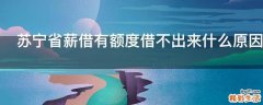 苏宁省薪借有额度借不出来什么原因
