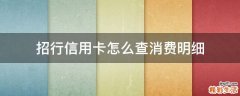 招行信用卡怎么查消费明细