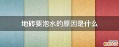 地砖要泡水的原因是什么