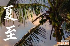 2023年夏至是什么日 2023年夏至是天干什么日