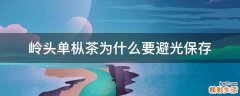 岭头单枞茶为什么要避光保存