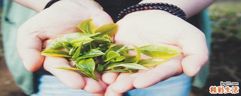 喝绿茶对心血管有好处吗 绿茶怎么泡好喝