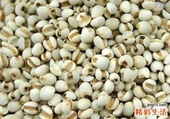 滋阴降火的食物