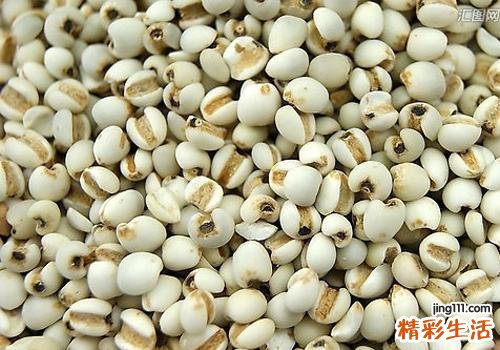 滋阴降火的食物