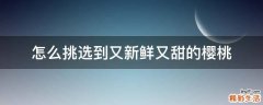 怎么挑选到又新鲜又甜的樱桃