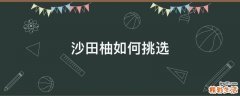 沙田柚如何挑选