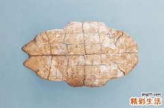 滋阴补阴的中药有哪些 什么中药补阴