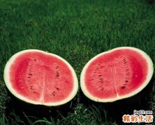 天气热吃什么解暑